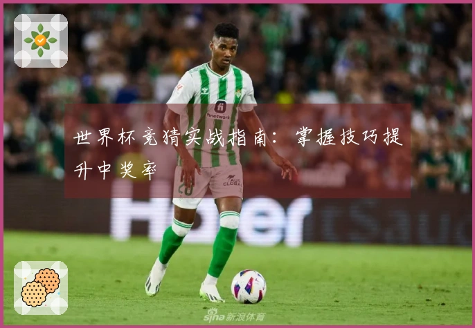 世界杯竞猜实战指南：掌握技巧提升中奖率