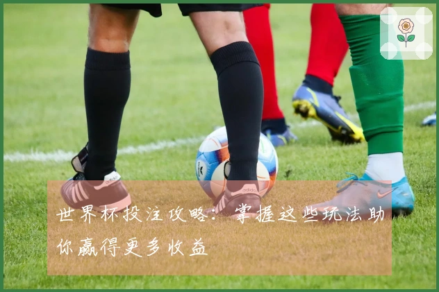 世界杯投注攻略：掌握这些玩法助你赢得更多收益