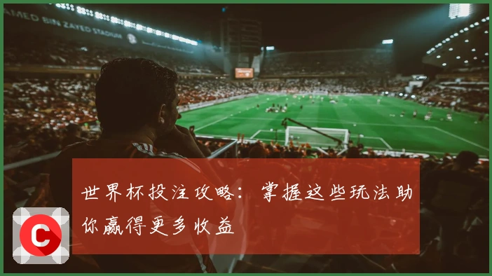 世界杯投注攻略：掌握这些玩法助你赢得更多收益